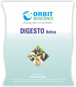 Digesto-Batisa