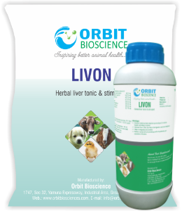 Livon