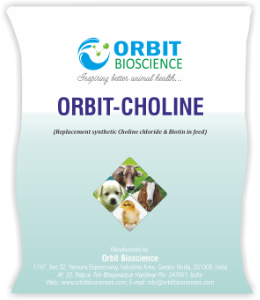 Orbit-Choline