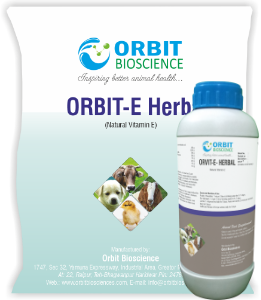 Orbit-E Herbal