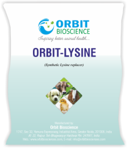 Orbit-Lysine